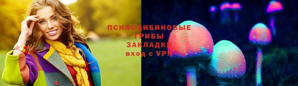 соль ск Арсеньев