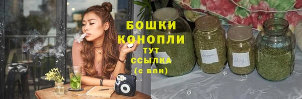 соль ск Арсеньев