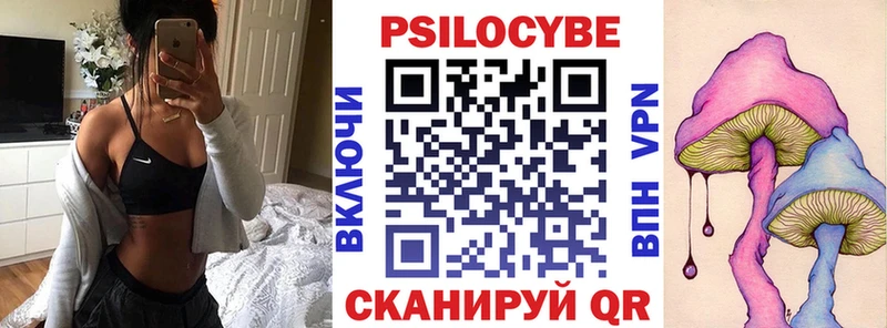 Галлюциногенные грибы Psilocybine cubensis  Купить где  Камень-на-Оби 